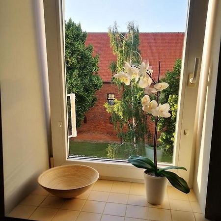 Apartmán Legata Ostróda Exteriér fotografie